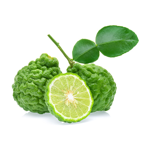 Italian Bergamot