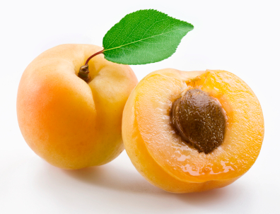 Apricot